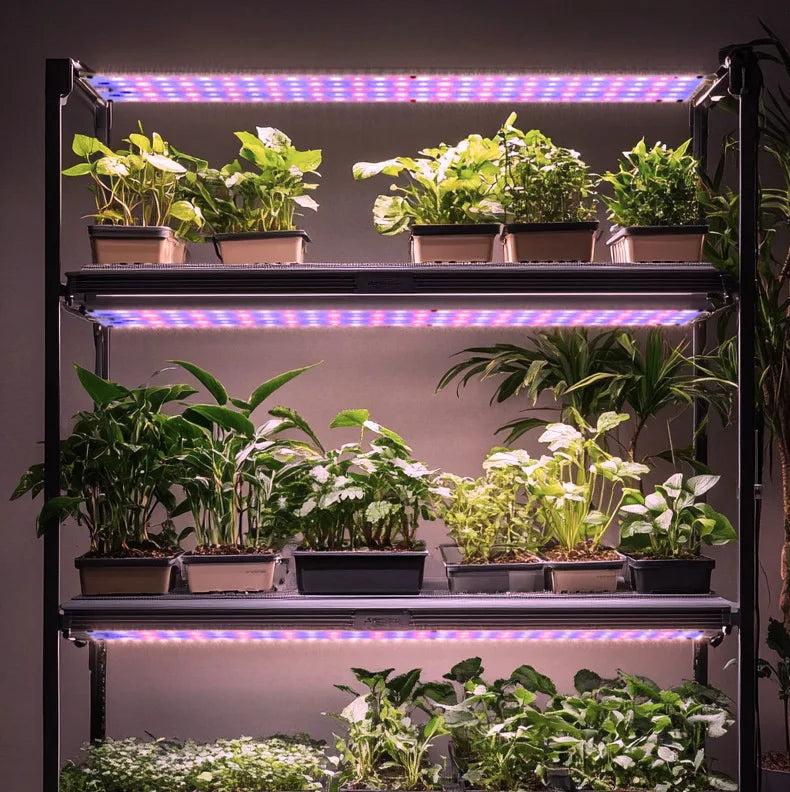 LED Plant Grow Light Quantum Board Full Spectrum USB Panel Lamp for Indoor Greenhouse Nursery Hydroponic Succulent Seedling Use