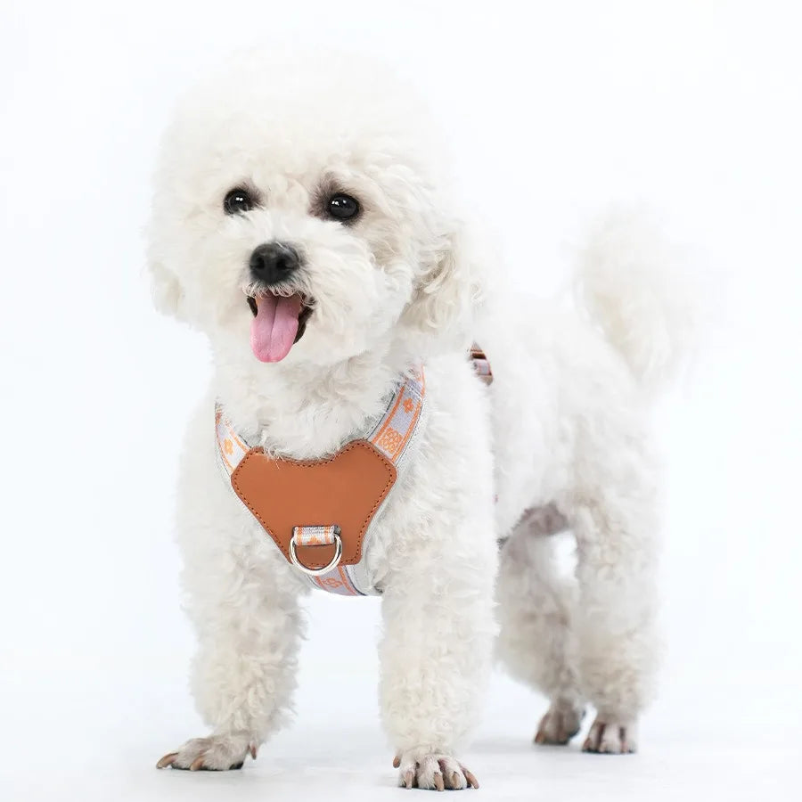 Pet Dog Harness with Durable Webbing  Anti-Deformation Alloy Ring 4 Points Adjustable Breathable Reflective Pet Leash Small Dog