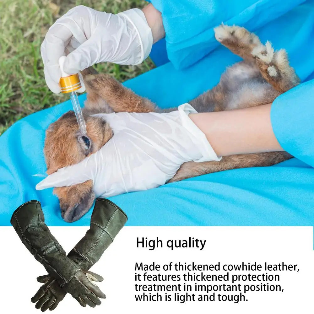 New Pet Gloves Leather Antigrasping Anti Bite Protective Gloves For Cat Dog Gardening Work Gloves Pets Training Feeding Gloves