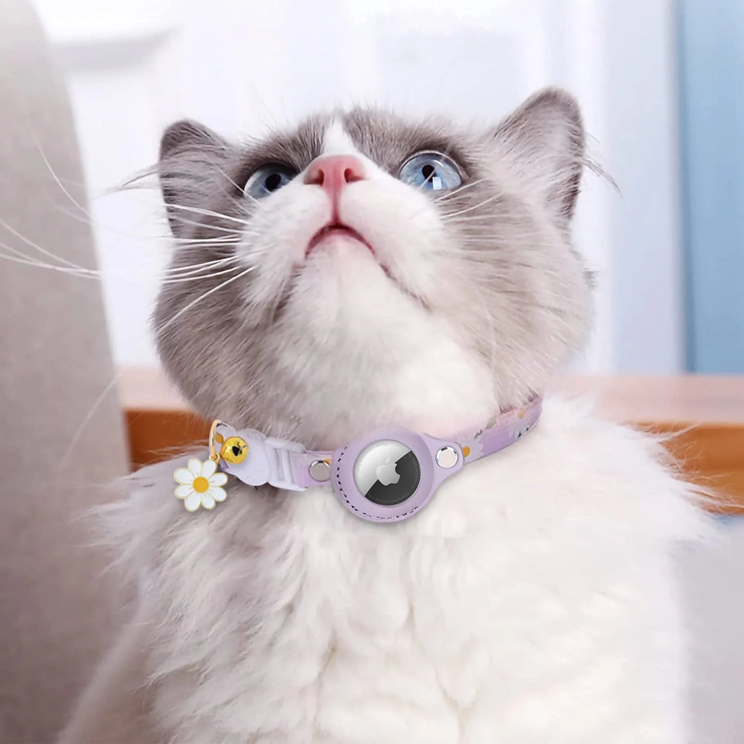 Lovely Aritag Protective Case Anti-Lost Cat Collar Adjustable Kitten Collar with Bell Light Weight Puppy Necklace Pet Supplies