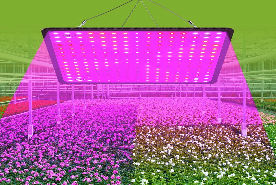 200W LED Grow Light Full Spectrum Quantum Board Plant Cultivation Lamp For Indoor Potted Flower Greenhouse Tent Tomato Vegetable